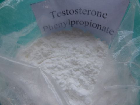 Testosterone Phenylpropionate 